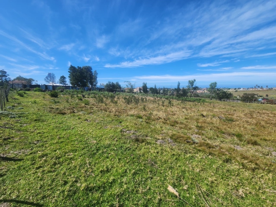 Commercial Property for Sale in Pacaltsdorp Western Cape